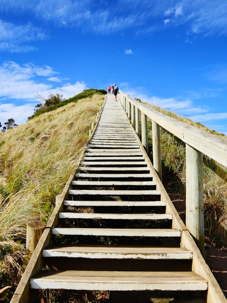 Group ascending wooden stairs on Bruny Island's scenic coastline.