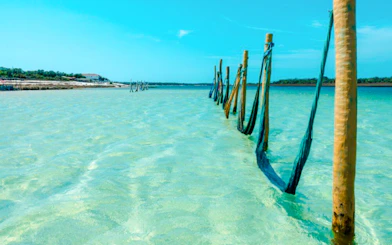 Water hammocks in clear waters of Jericoacoara, Brazil, with distant shoreline.