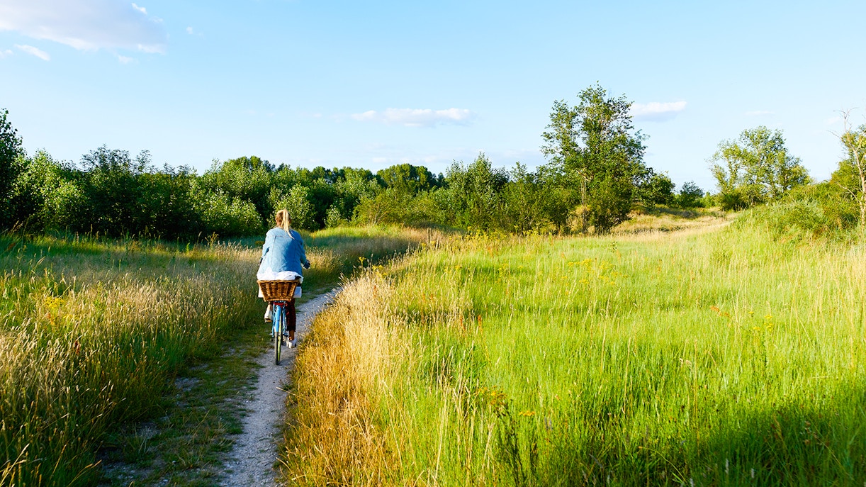 Cycling on a path through green fields near Chenonceau Castle, France.