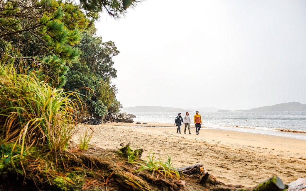 People walking on a beach during Stewart Island Guided Wilderness Walk.