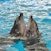 Dubai Dolphinarium