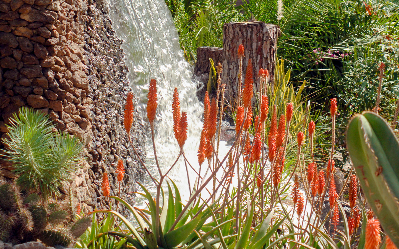 Waterfall surrounded by lush plants and orange flowers at Palmitos Park.