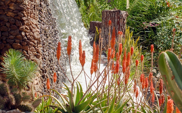 Waterfall surrounded by lush plants and orange flowers at Palmitos Park.