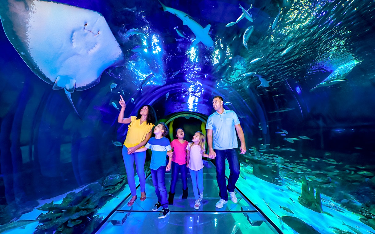 Family walking through 360 Tunnel at Sea Life Orlando, surrounded by marine life.