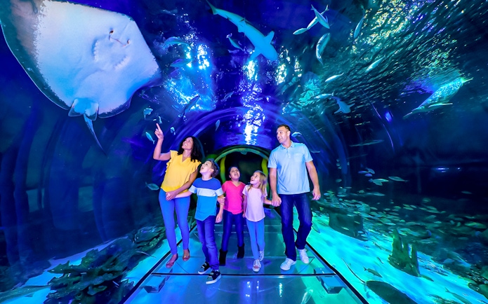 Family walking through 360 Tunnel at Sea Life Orlando, surrounded by marine life.