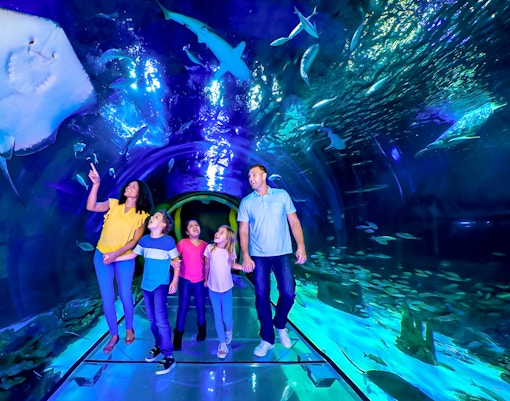 Family walking through 360 Tunnel at Sea Life Orlando, surrounded by marine life.