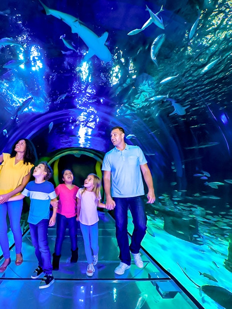Family walking through 360 Tunnel at Sea Life Orlando, surrounded by marine life.
