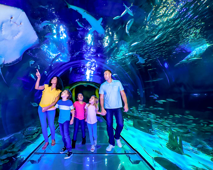 SEA LIFE Orlando Aquarium Admission Tickets
