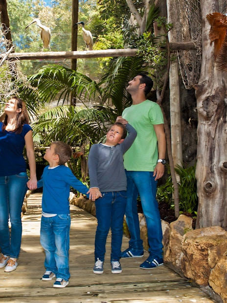 Family exploring bird exhibit at Jungle Park Tenerife.