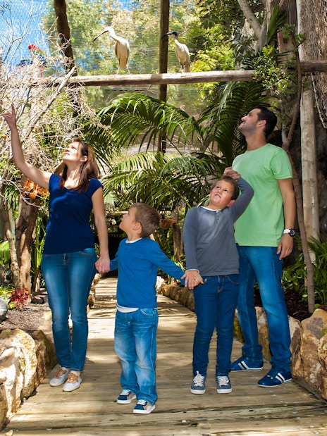 Family exploring bird exhibit at Jungle Park Tenerife.
