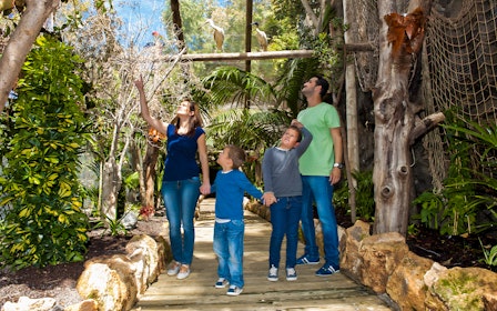 Tenerife Jungle Park Tickets