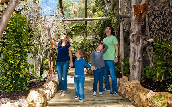 Tenerife Jungle Park Tickets