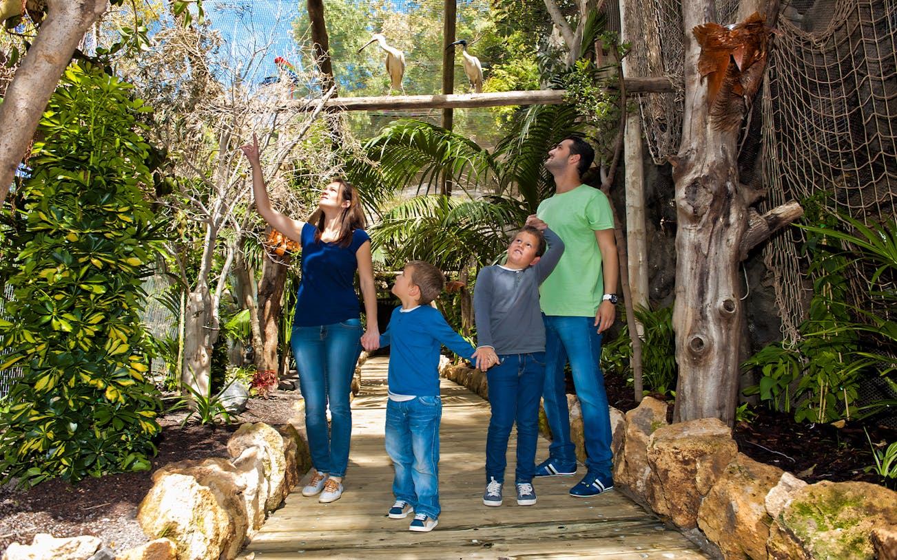 Family exploring bird exhibit at Jungle Park Tenerife.
