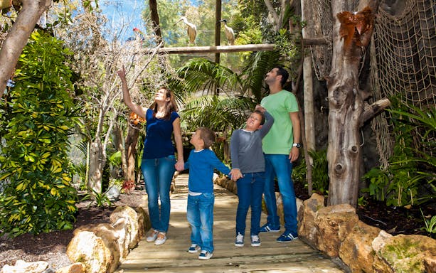 Family exploring bird exhibit at Jungle Park Tenerife.