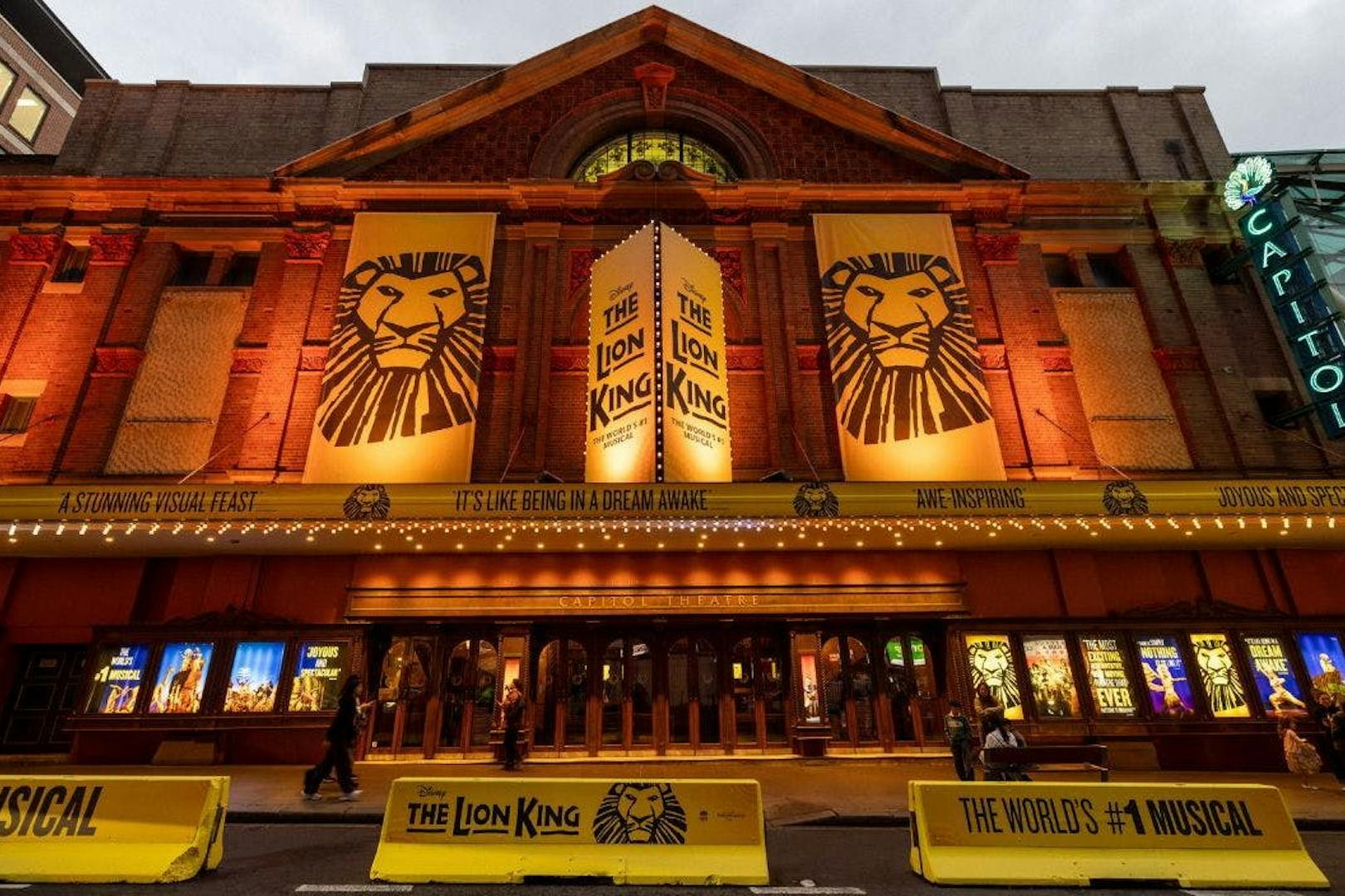the lion king-6