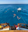 Cyprus Blue Lagoon