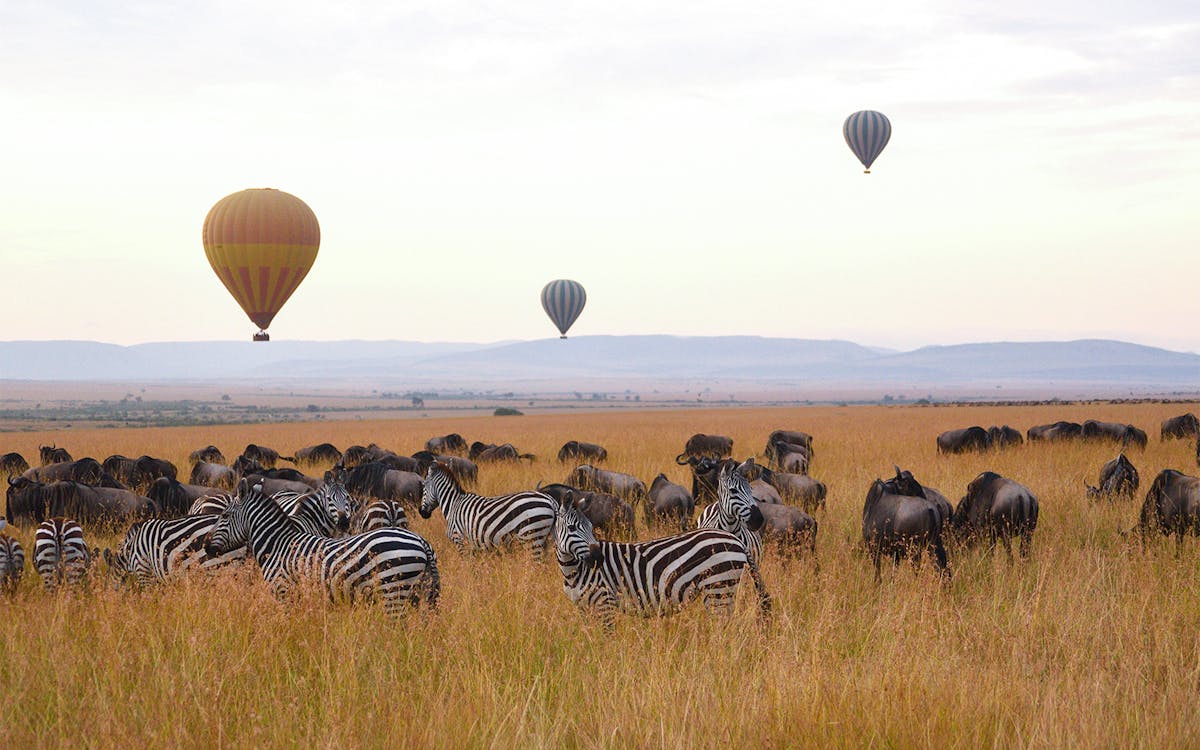 Masai Mara