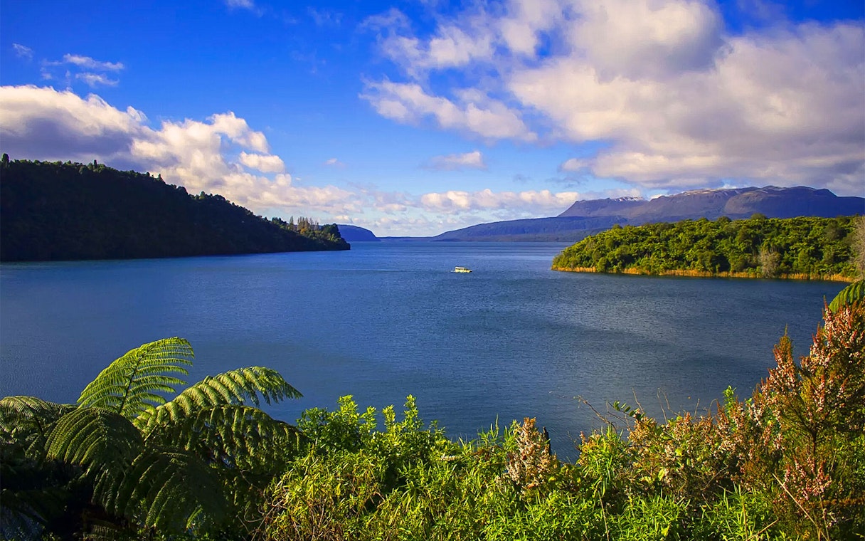 Tarawera Lake view with lush greenery and distant boat, New Zealand eco tour.