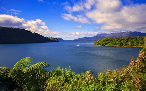 Tarawera Lake view with lush greenery and distant boat, New Zealand eco tour.