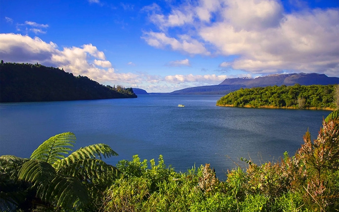 Tarawera Lake view with lush greenery and distant boat, New Zealand eco tour.