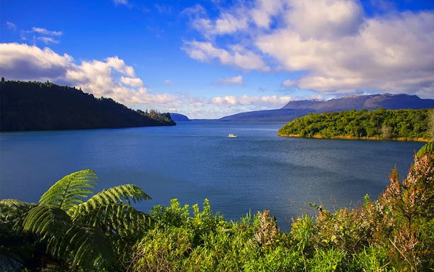 Tarawera Lake view with lush greenery and distant boat, New Zealand eco tour.