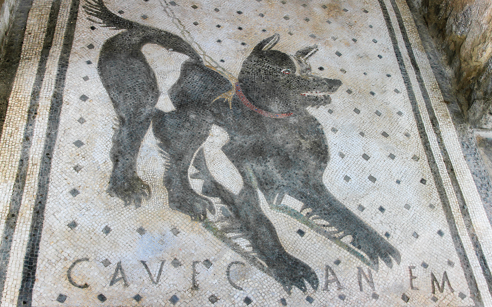 Mosaic of a dog with "Cave Canem" inscription in Pompeii.