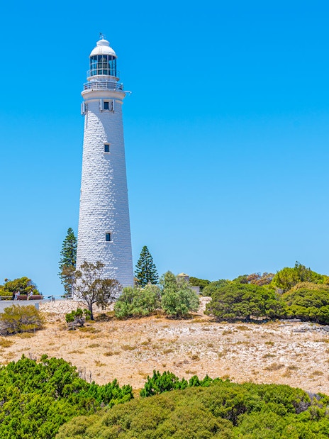 Rottnest Island lighthouse surrounded by trees under a clear blue sky.