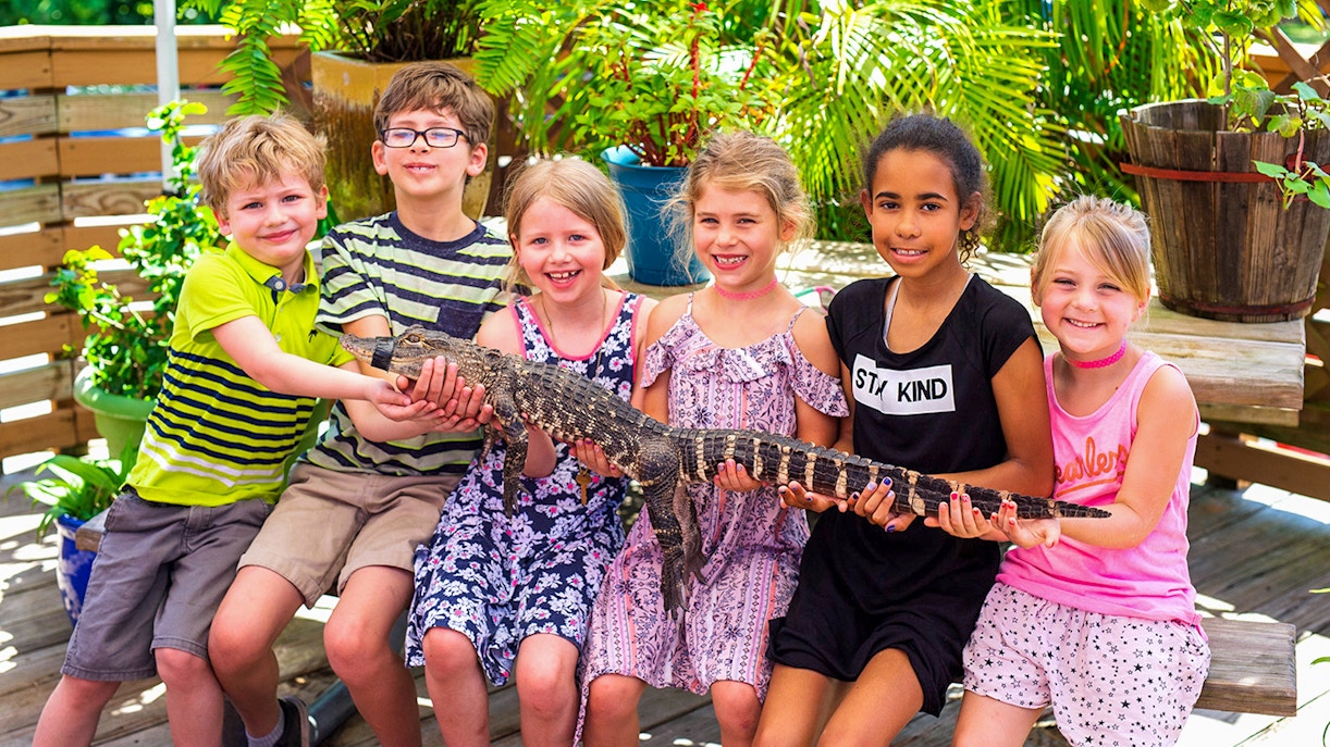 Small kids holding small alligator during Everglades Airboat Tours & Rides