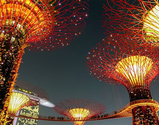 Gardens by the Bay Events - Get Crafty! – Tulips of the Future