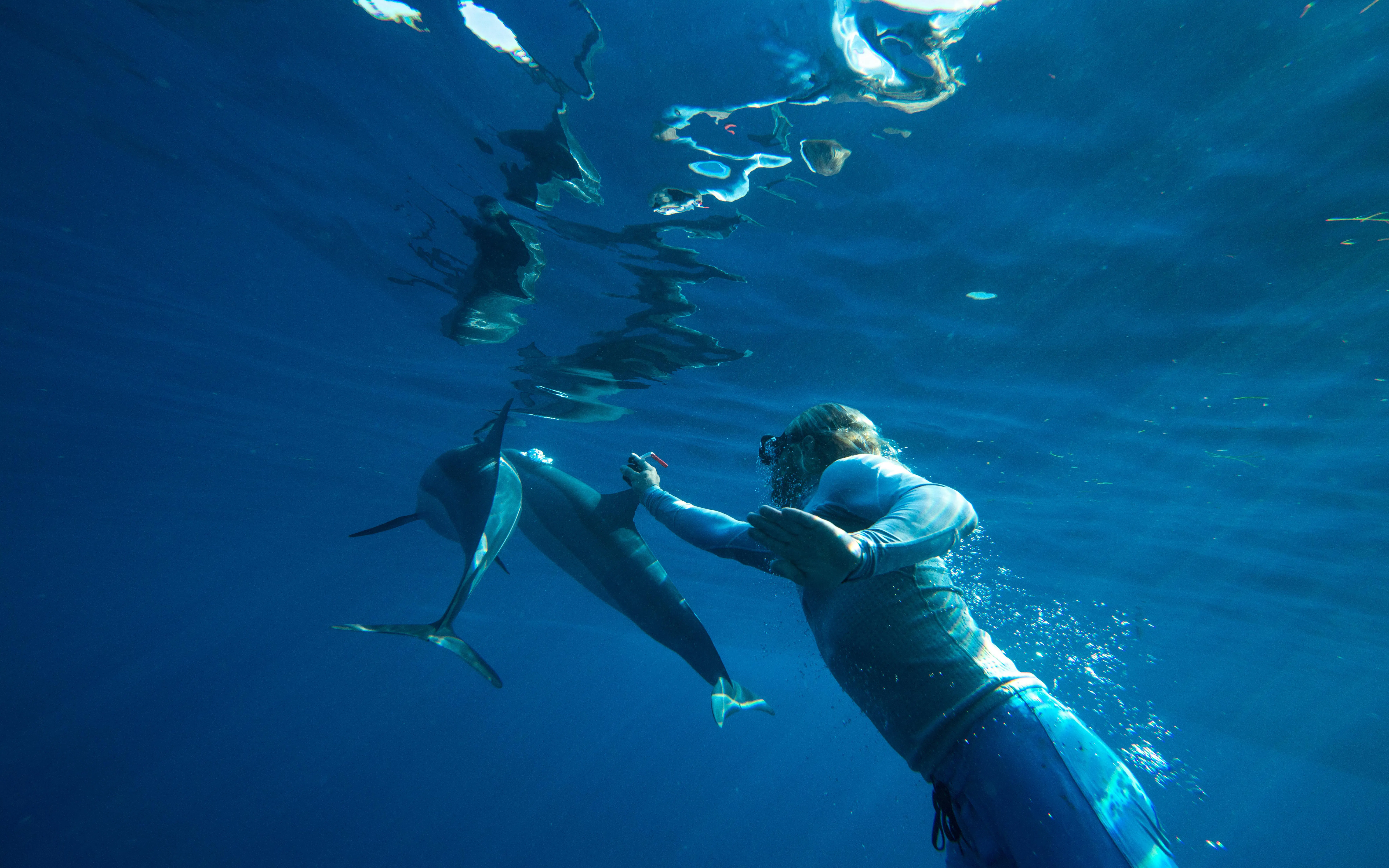 são miguel: tour para nadar con delfines-1