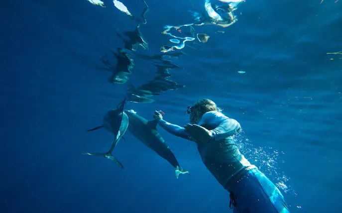 são miguel: tour para nadar con delfines-1