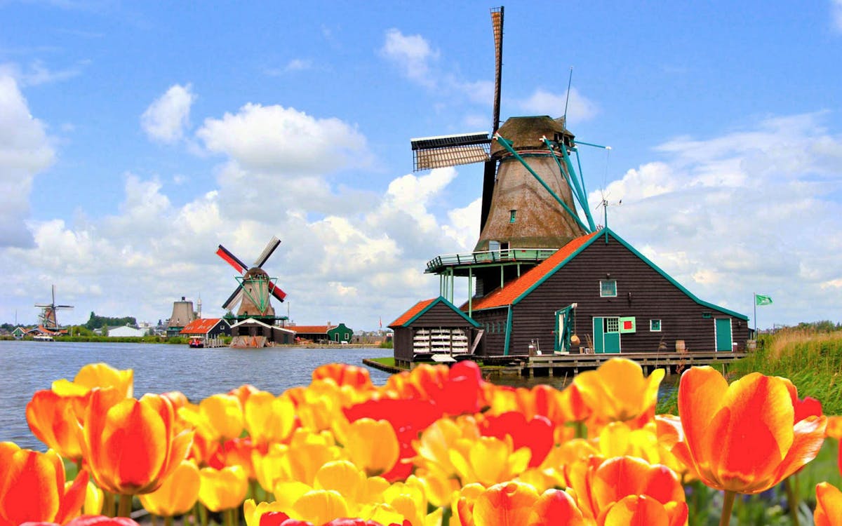 visite de keukenhof et zaanse schans avec croisière sur le canal d'amsterdam en option-2 visite de keukenhof et zaanse schans avec croisière sur le canal d'amsterdam en option-2