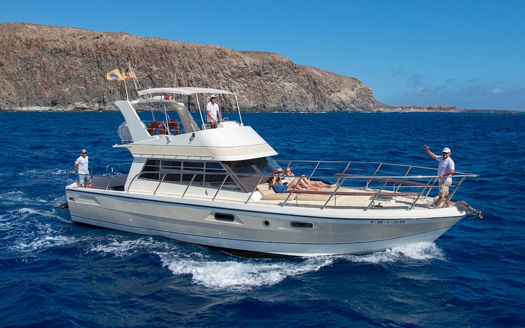 Tourists relaxing on a yacht during whale and dolphin watching in Tenerife.