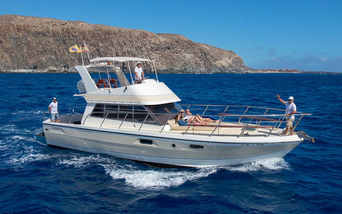 Tourists relaxing on a yacht during whale and dolphin watching in Tenerife.