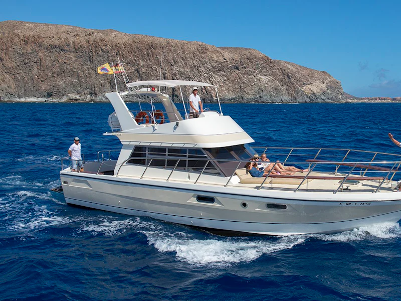 Los Cristianos Whale Dolphin Watching Yacht Cruise - Teneriffa