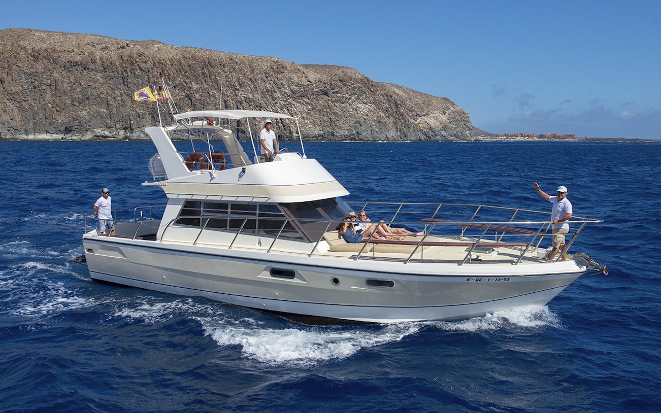 Tourists relaxing on a yacht during whale and dolphin watching in Tenerife.