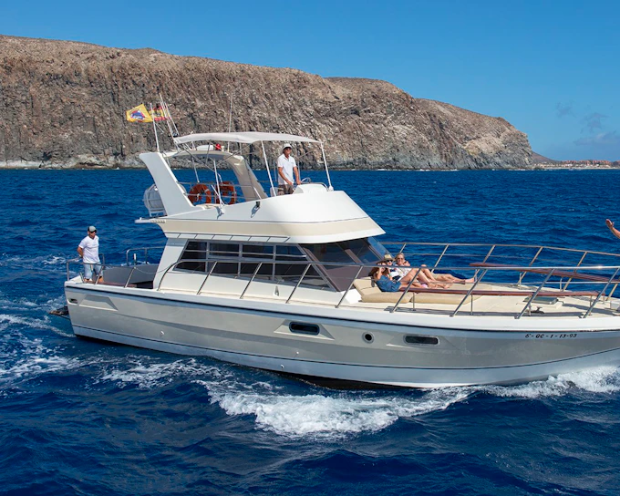 Los Cristianos: 3-Hour Whale & Dolphin Watching Shared Yacht