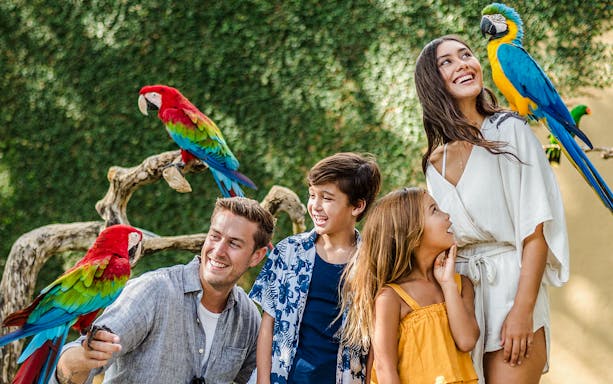 Family interacting with colorful parrots at Bali Bird Park.