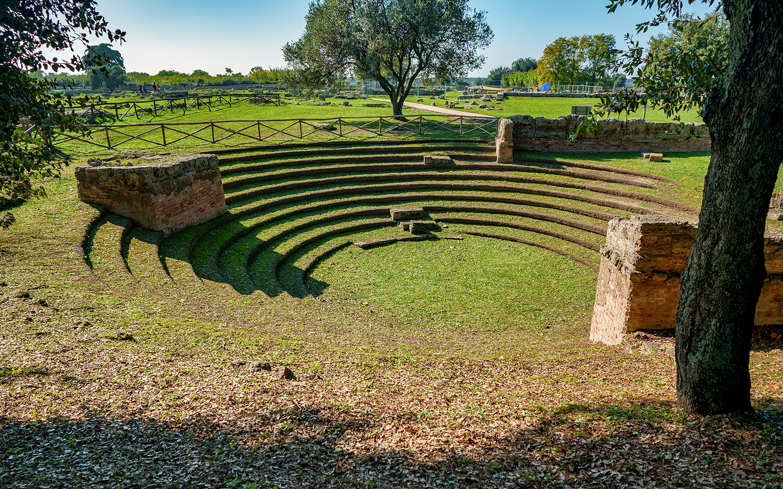 Ancient amphitheater in Paestum, Italy, surrounded by greenery.