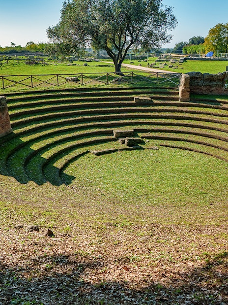 Ancient amphitheater in Paestum, Italy, surrounded by greenery.