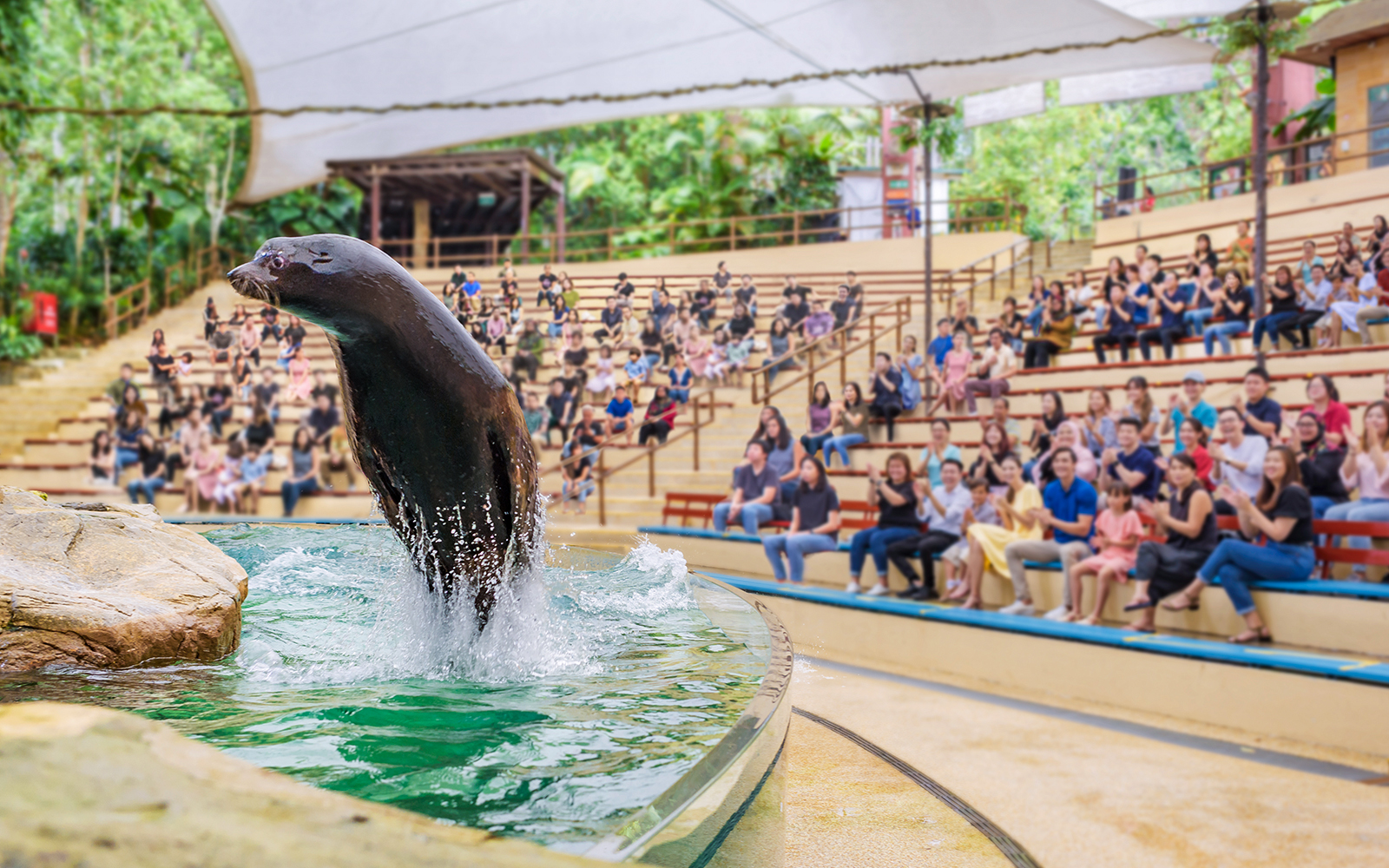 Singapore Zoo