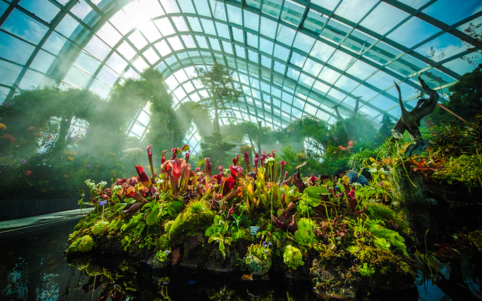 Carnivorous plants in Jurassic World exhibit, Cloud Forest, Gardens by the Bay, Singapore.