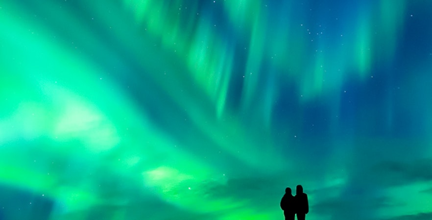 Northern Lights Tours Rovaniemi
