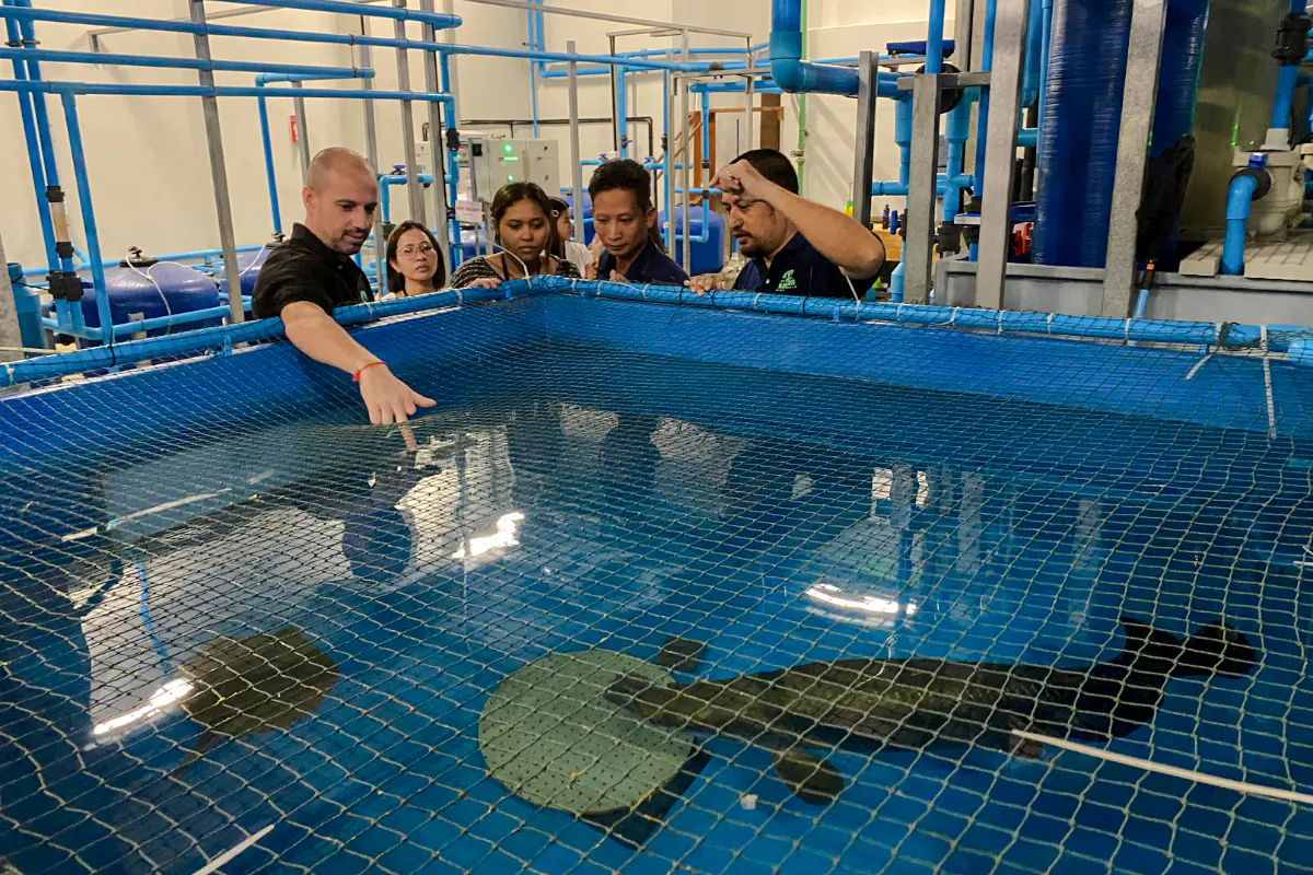 Visitors observing aquatic life at Angkor Wildlife & Aquarium, Siem Reap.