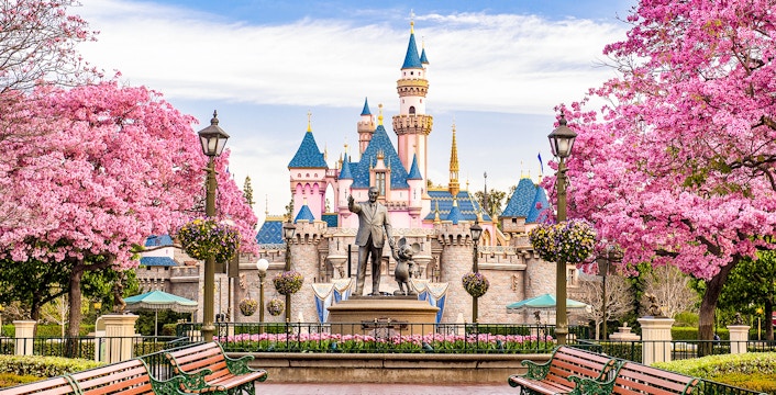 Disneyland California castle with cherry blossoms and blue sky.