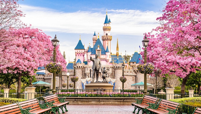 Disneyland California castle with cherry blossoms and blue sky.