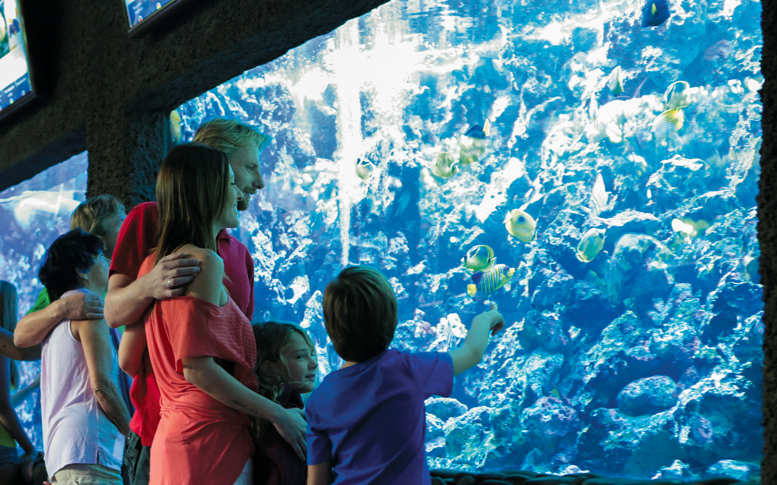 Tourists observing fish in aquarium at Palmitos Park.