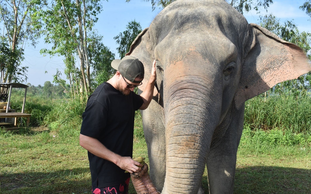 Man interacting with an elephant at Elephant Jungle Sanctuary, Pattaya.