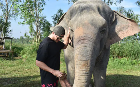 Man interacting with an elephant at Elephant Jungle Sanctuary, Pattaya.