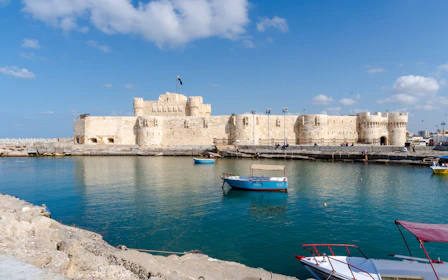 From Alexandria: Full Day Alexandria City Tour with Entry Tickets